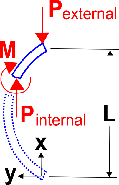 Column Buckling